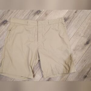 Nike SB shorts